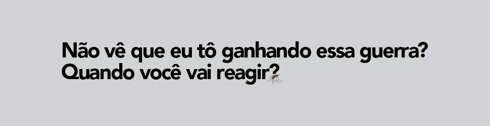 Enfrentamento ao Aedes aegypti começa com a eliminação de criadouros
